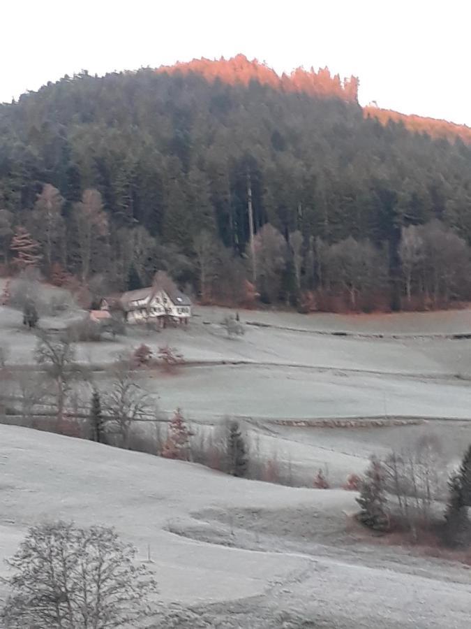 Isoldes Landhaus Baiersbronn Dış mekan fotoğraf